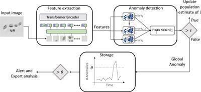 Anomaly detection in feature space for detecting changes in phytoplankton populations